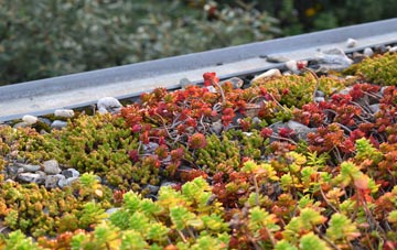the cost of Bondend green roof installation